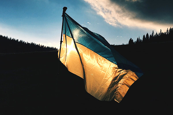 The Ukrainian flag is illuminated against a dark forest landscape