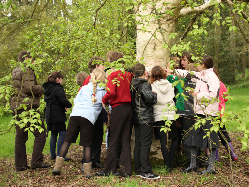 A school visit to the Harcourt Arboretum © Oxford University Images
