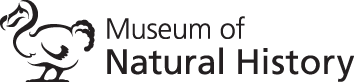 The Museum of Natural History