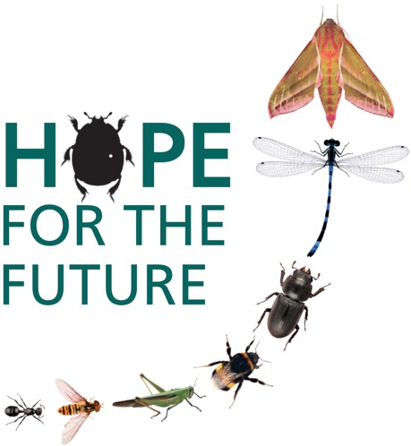 HOPE for the Future logo