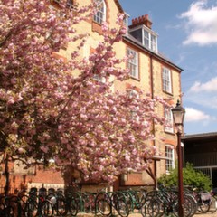 St Hilda’s College