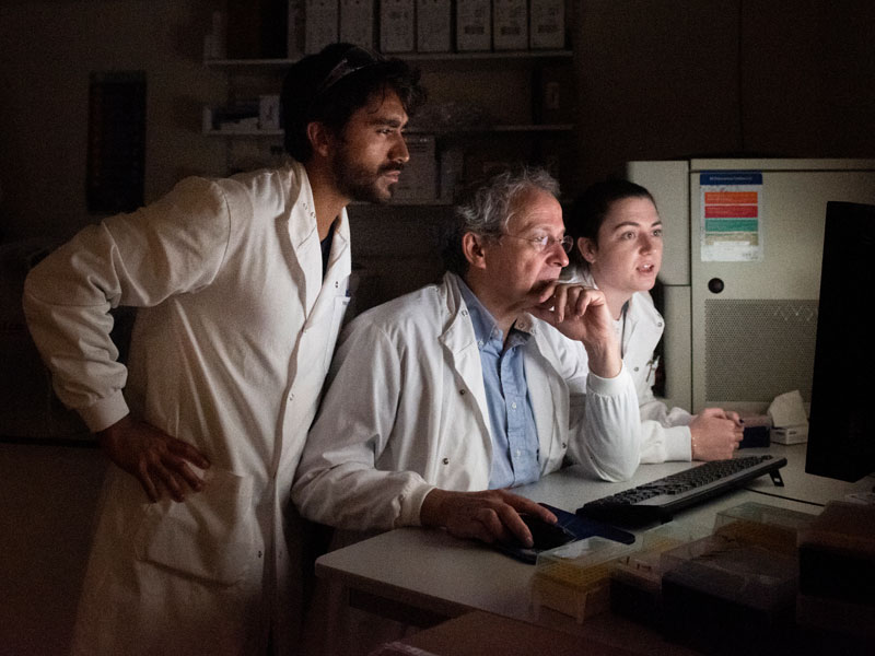 Hoffmann and Action Medical Research Professor of Developmental Medicine Georg Holländer with research assistants Hector (left) and Emma (right). Photo by John Cairns