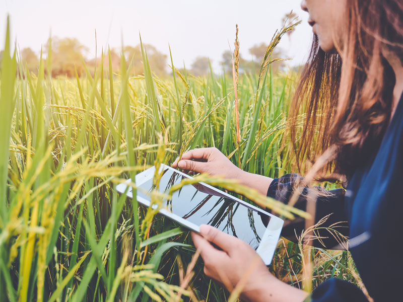 HESTIA enables farmers to better understand their environmental impacts © Shutterstock / Jaturun Thakard