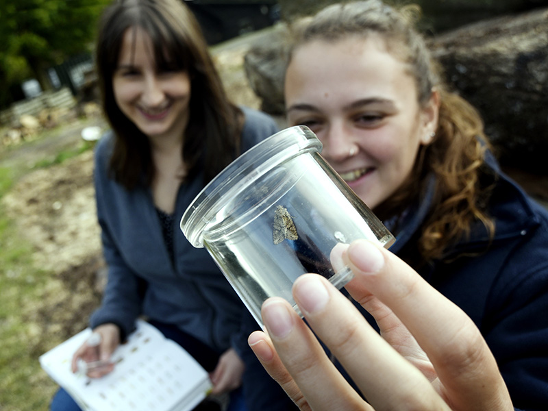 Team at Wytham Wytham Woods plans to expand its educational activities and extend public participation in science. Photo: OU Images / David Fleming