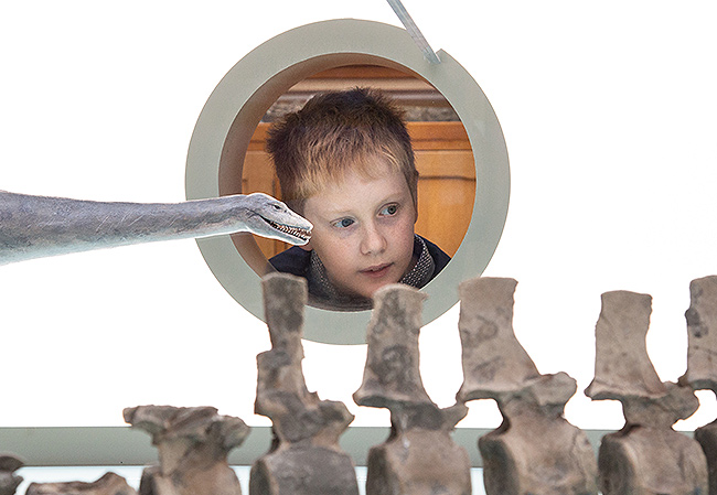 Portholes in the display allow visitors to see the scale models and fossil skeletons from a different perspective. Photo by Oxford University Museum of Natural History