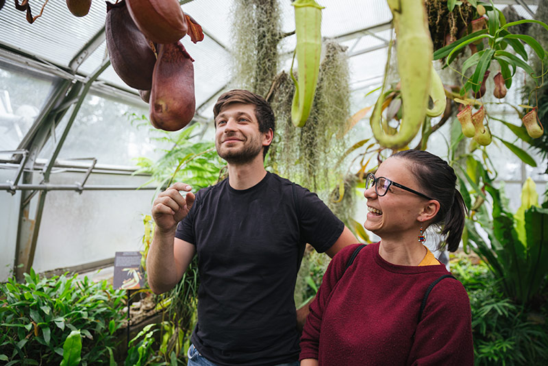 Two visitors inside one of the glasshouses at the Oxford Botanic Garden. Photo by Ian Wallman