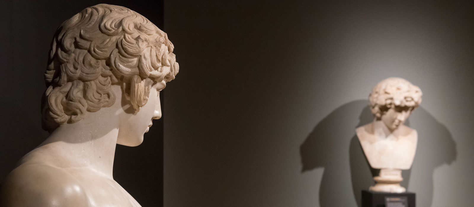 Busts on display inside the Ashmolean Museum. Photo by John Cairns