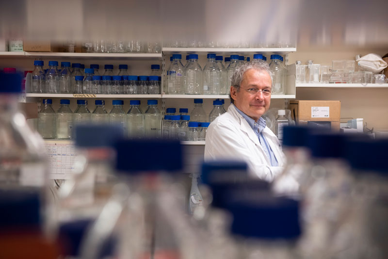 Professor Holländer in the lab. Photo by John Cairns.