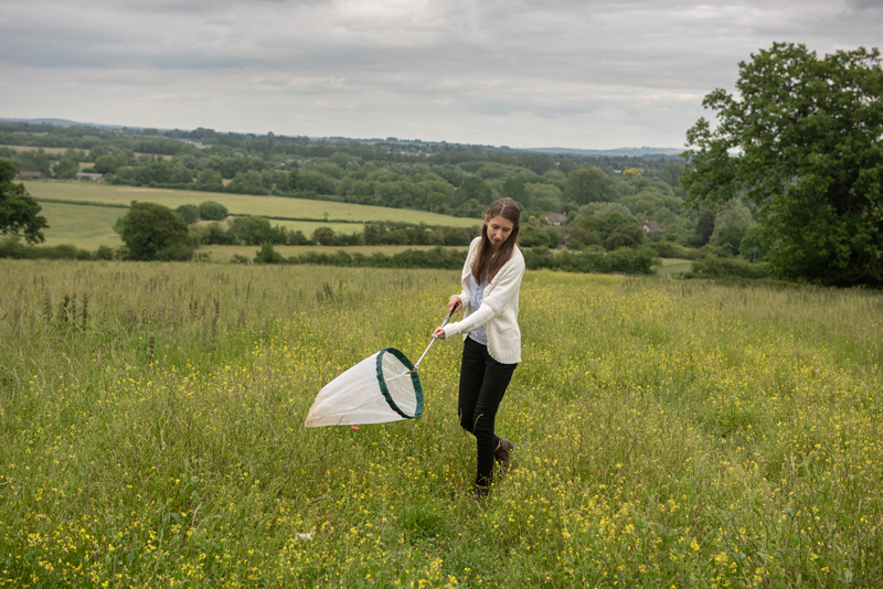 Sabrina using a net to catch bees. Photo by John Cairns.