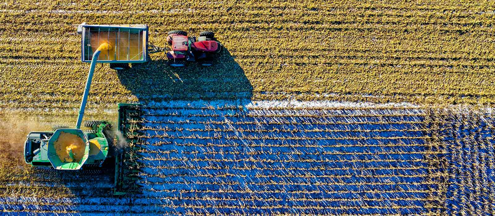 Harvesting crops. Photo by Tom Fisk/Pexels