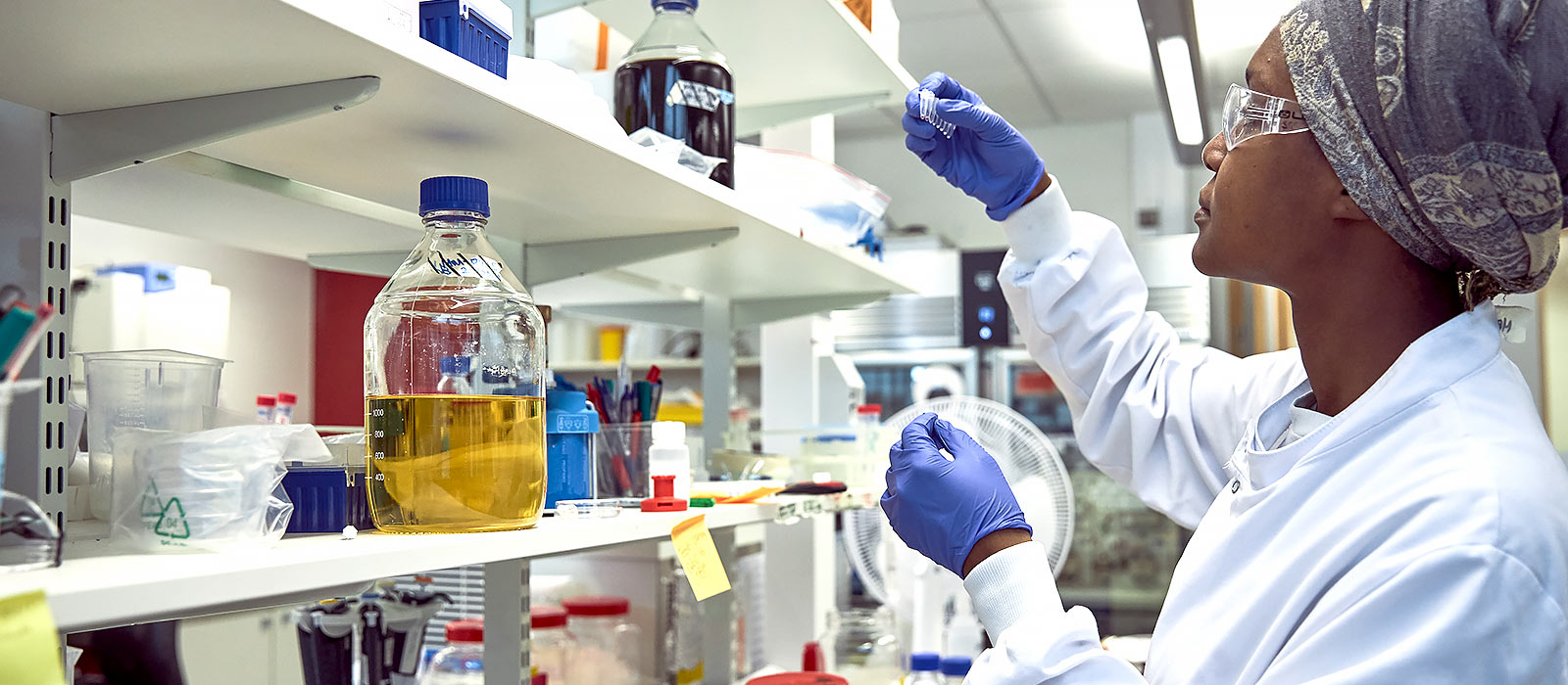 A scientist conducting research in a lab in the Department of Oncology