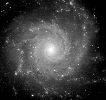 A black and white photo of a spiral galaxy